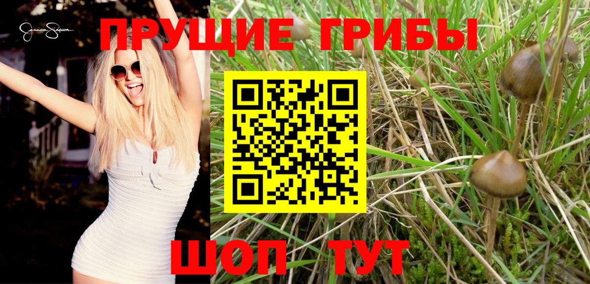 Галлюциногенные грибы мицелий Ливны
