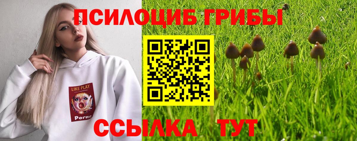 Псилоцибиновые грибы Magic Shrooms  Вход с VPN  Ливны 