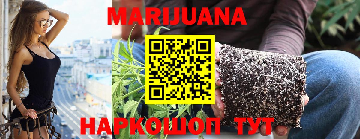 Каннабис марихуана  МАРИХУАНА планчик  Конопля Bruce Banner  Ливны  Вход с VPN 